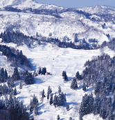 スキー場からの絶景